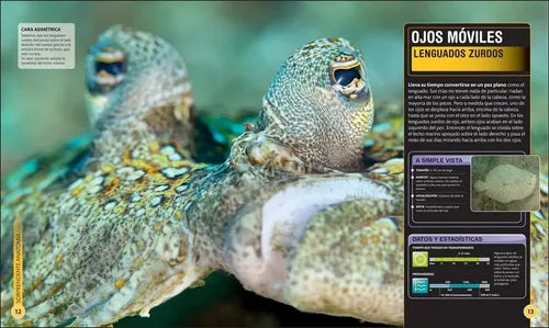 Dk Enciclopedia Super Tiburones (tapa Dura)