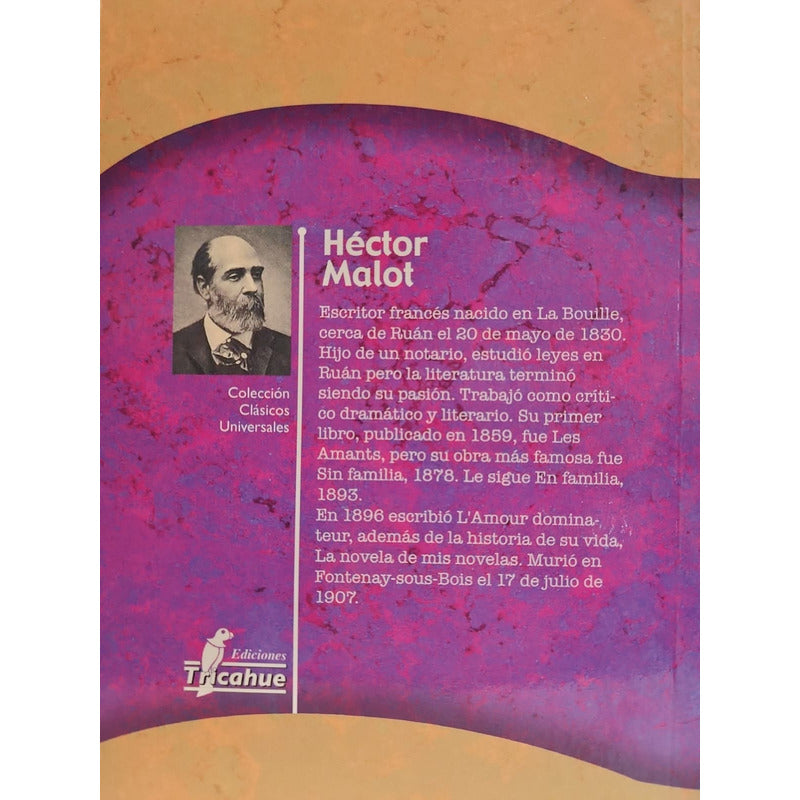 Sin Familia / Hector Malot