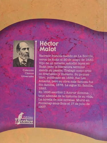 Sin Familia / Hector Malot