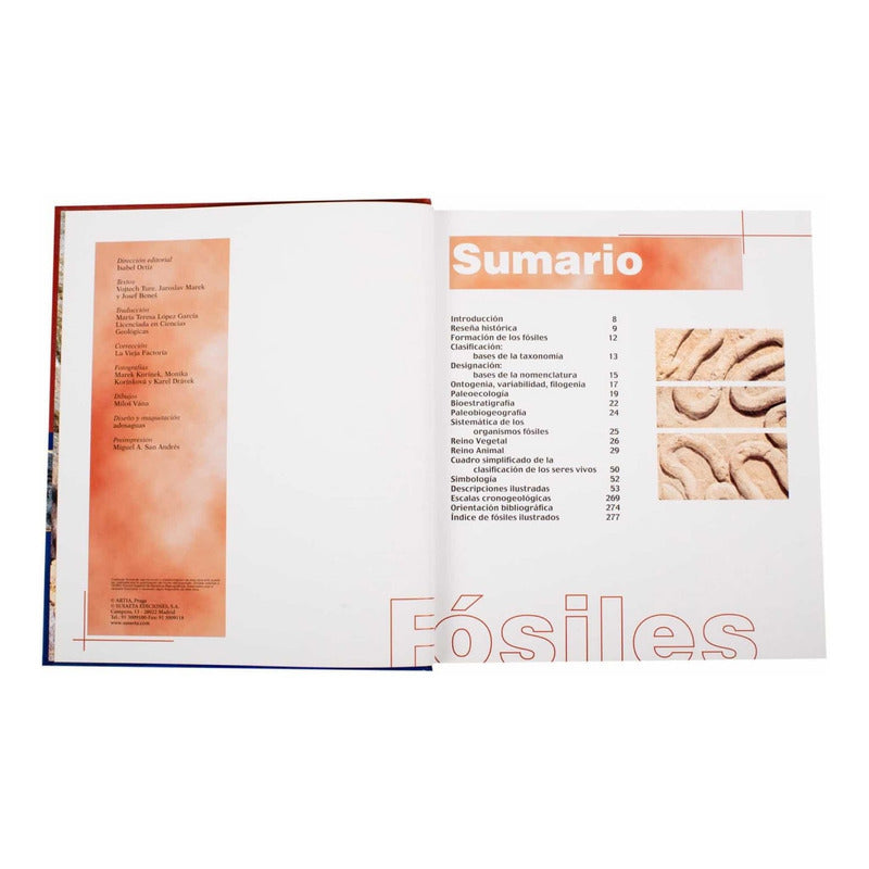 Atlas Ilustrado De Los Fósiles / Lexus