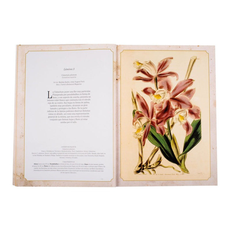 Maravillas De La Botanica / Lexus