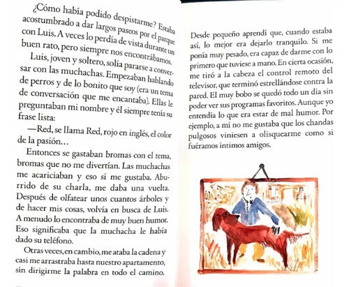 Amo Perdido / Tomas Onaindia