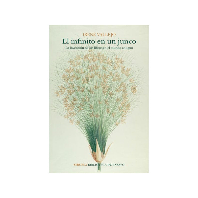 El Infinito En Un Junco / Irene Vallejo