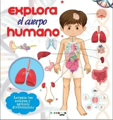 Exploro El Cuerpo Humano (tapa Dura) / Mundicrom