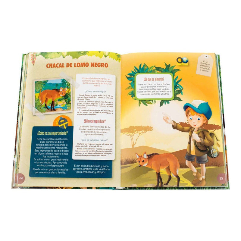 Safari Fotográfico (tapa Dura) / Lexus