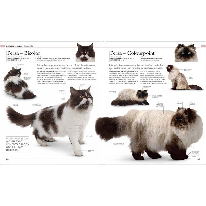 Dk Gato La Enciclopedia Guía Visual Definitiva (tapa Dura)