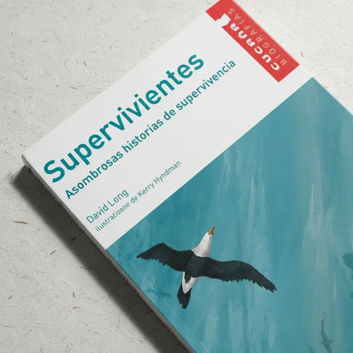 Supervivientes / David Long