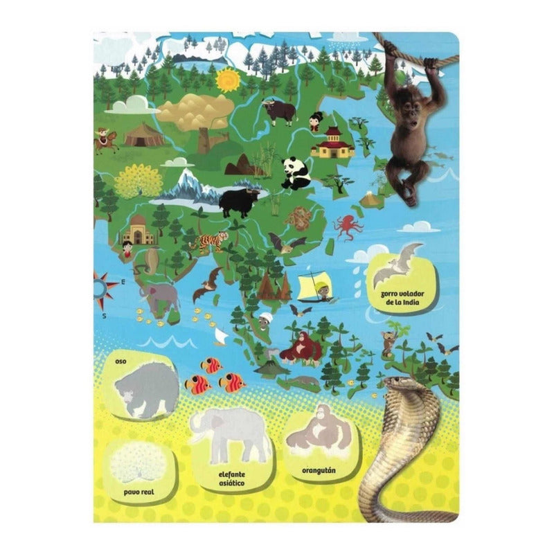 Animales Del Mundo (tapa Dura) / Lexus