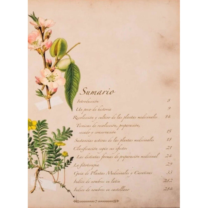 Atlas Ilustrado De Plantas Silvestres E Infusiones Curativas