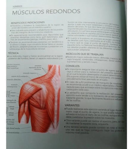 Atlas Ilustrado Estiramientos Y Flexiones (t.dura) / Susaeta