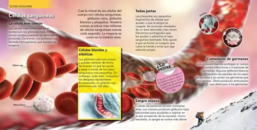 Enciclopedia Infantil Del Cuerpo Humano (tapa Dura)