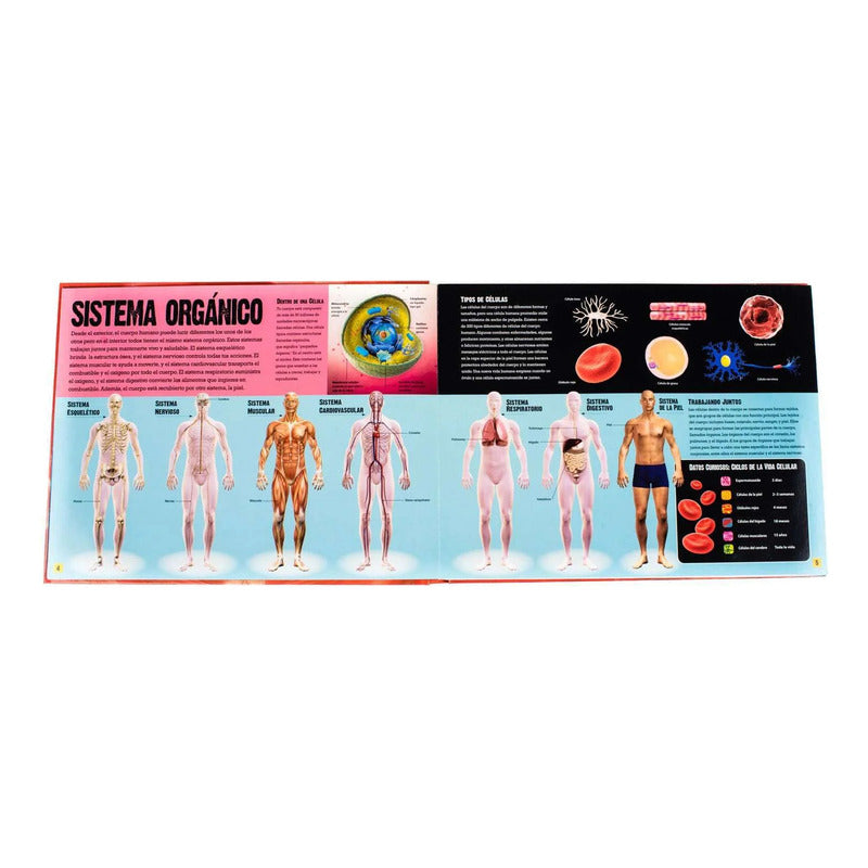 El Cuerpo Humano / Lexus