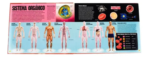El Cuerpo Humano / Lexus