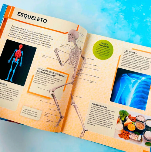 Enciclopedia Actualizada Del Cuerpo Humano (t. Dura) / Lexus