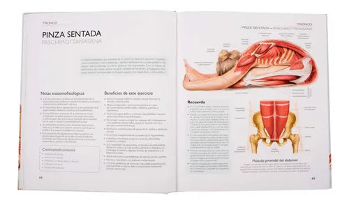 Atlas Ilustrado De Yoga Anatomia Y Posturas / Lexus