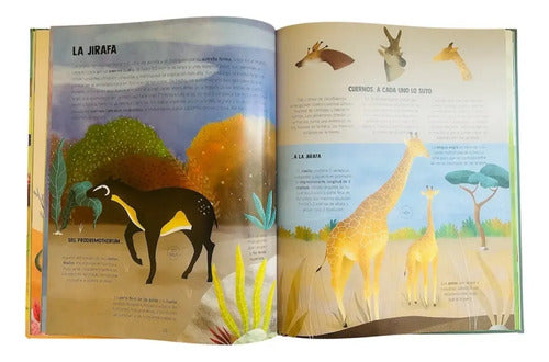 Descubramos La Evolución De Los Animales (tapa Dura) / Lexus