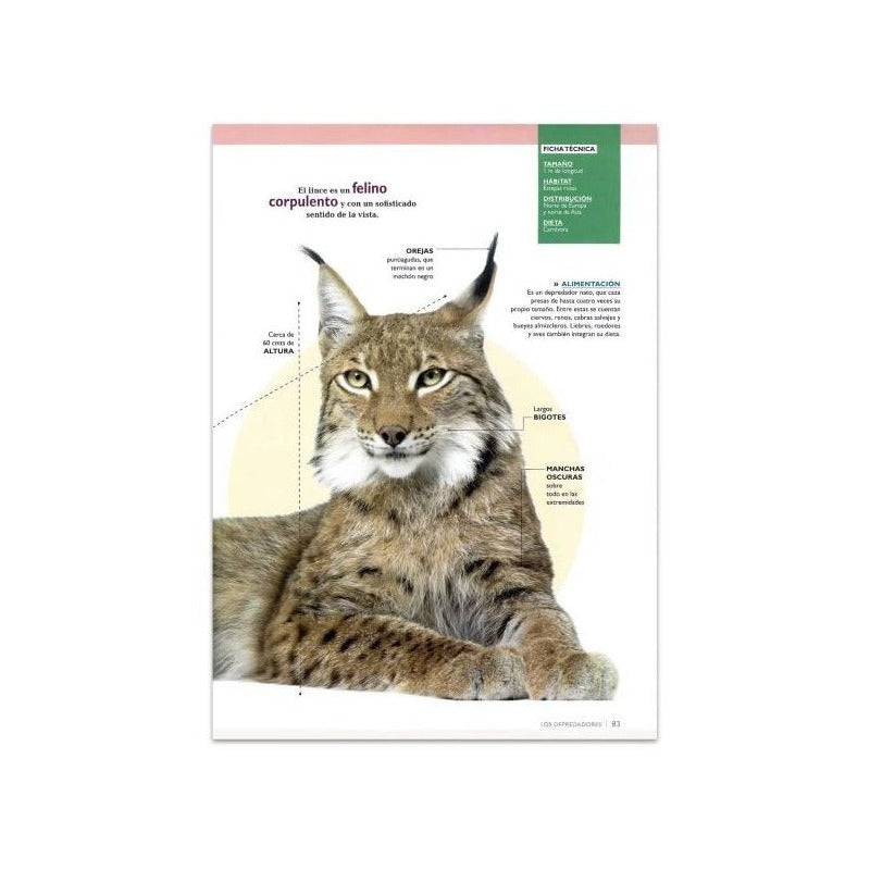 Mundo Animal Mamíferos Sorprendentes + Cd Y Laminas 3d