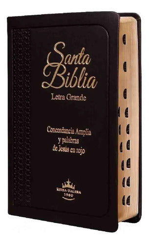 Santa Biblia Reina Valera 1960 Letra Grande Y Concordancia