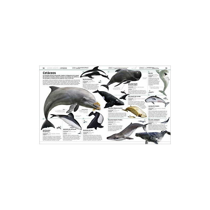 Dk Oceanos El Planeta Bajo El Agua (tapa Dura)