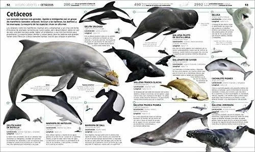 Dk Oceanos El Planeta Bajo El Agua (tapa Dura)