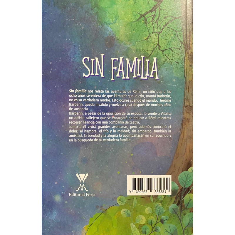 Sin Familia / Hector Malot