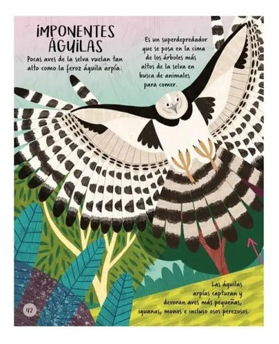 Exploremos Los Animales De La Selva (tapa Dura) / Lexus