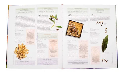 Atlas Ilustrado De Las Plantas Medicinales / Lexus