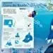 Dk Enciclopedia Disney: El Libro De Las Ideas (tapa Dura)