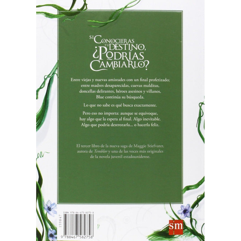 El Tercer Durmiente The Raven Boys Iii / Magie Stiefvater