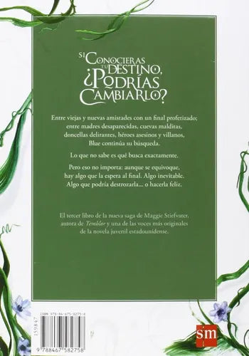 El Tercer Durmiente The Raven Boys Iii / Magie Stiefvater