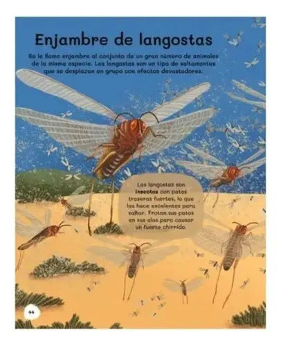 Todo Sobre Insectos (tapa Dura) / Lexus