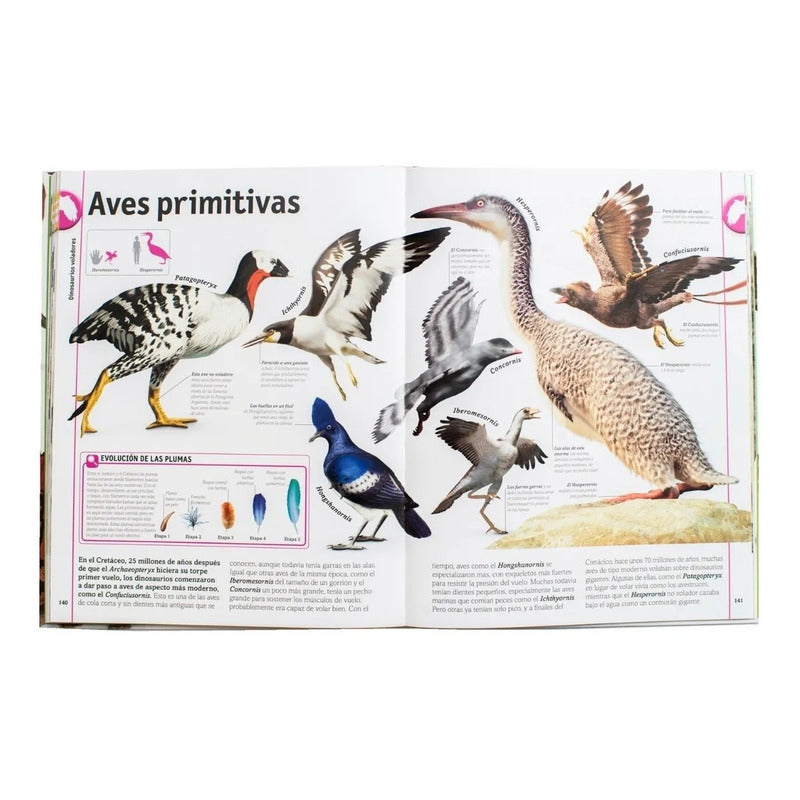 Dk El Libro De Los Dinosaurios (tapa Dura)