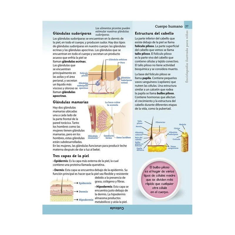 Enciclopedia Ilustrada Para Niños Cuerpo Humano / Lexus