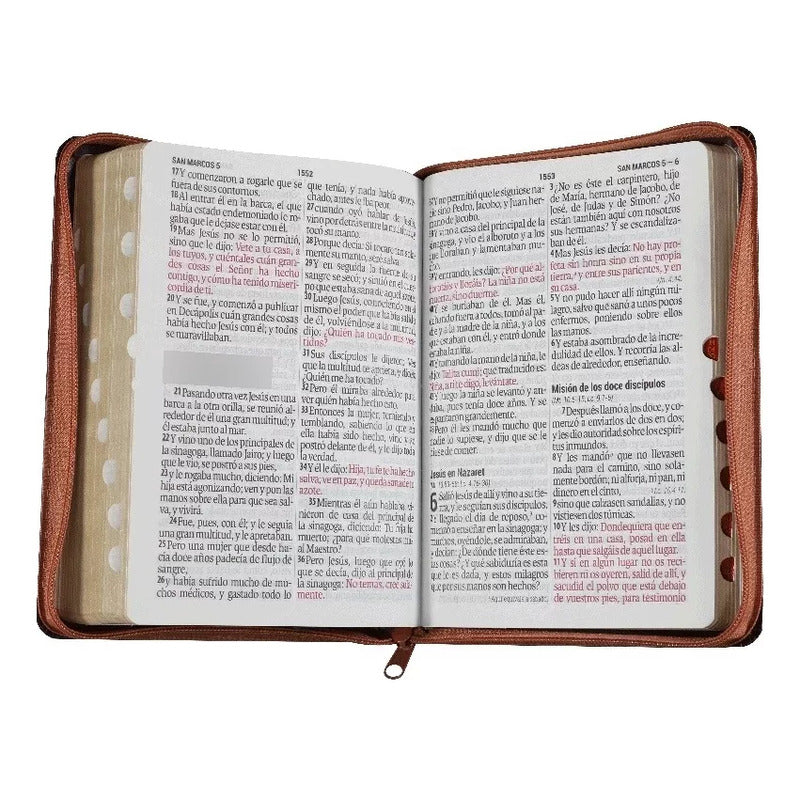 Santa Biblia Reina Valera 1960 Letra Gigante 14 Pt Estuche