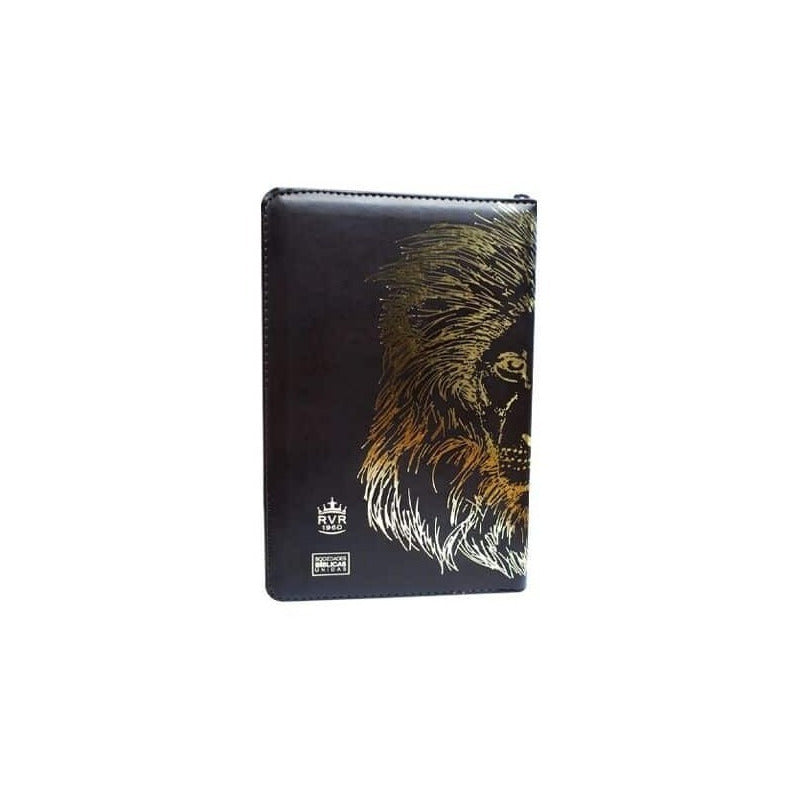 Santa Biblia Rey De Reyes Reina Valera 1960 / Sbl