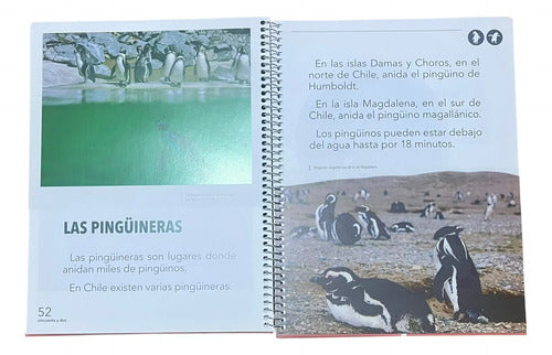 Curiosidades Del Mundo Tomo 1 (tapa Dura) / Astoreca
