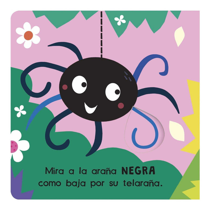 Mira Y Descubre Colores / Lexus