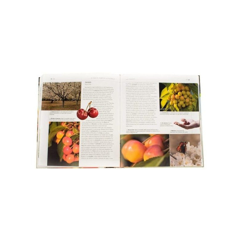 El Huerto Organico Y Ecologico Atlas Ilustrado / Lexus