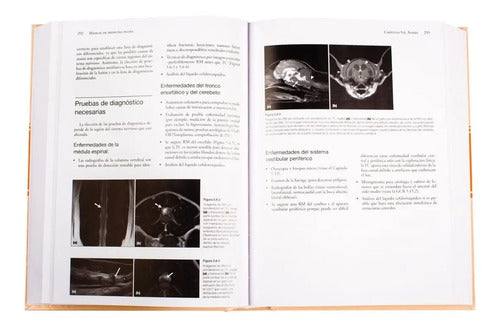 Manual De Medicina Felina (tapa Dura) / Lexus
