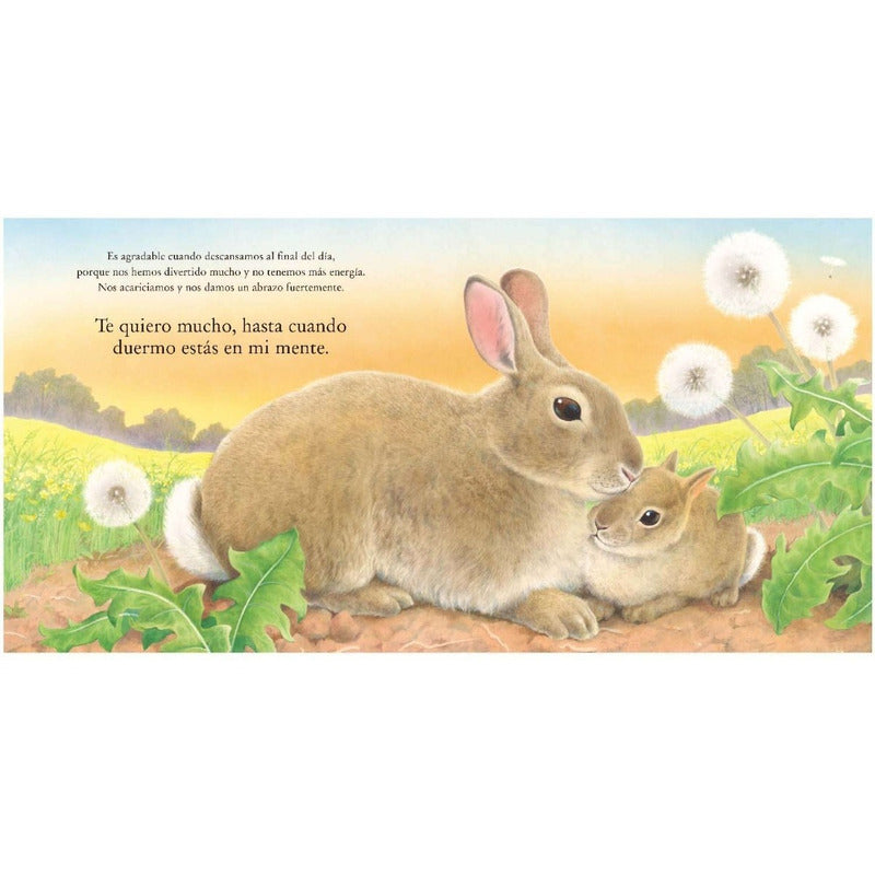 Un Momento Como Este / Lexus