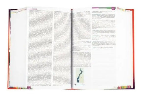 Diccionario Lexus Medicina Y Ciencias De La Salud (t.dura)