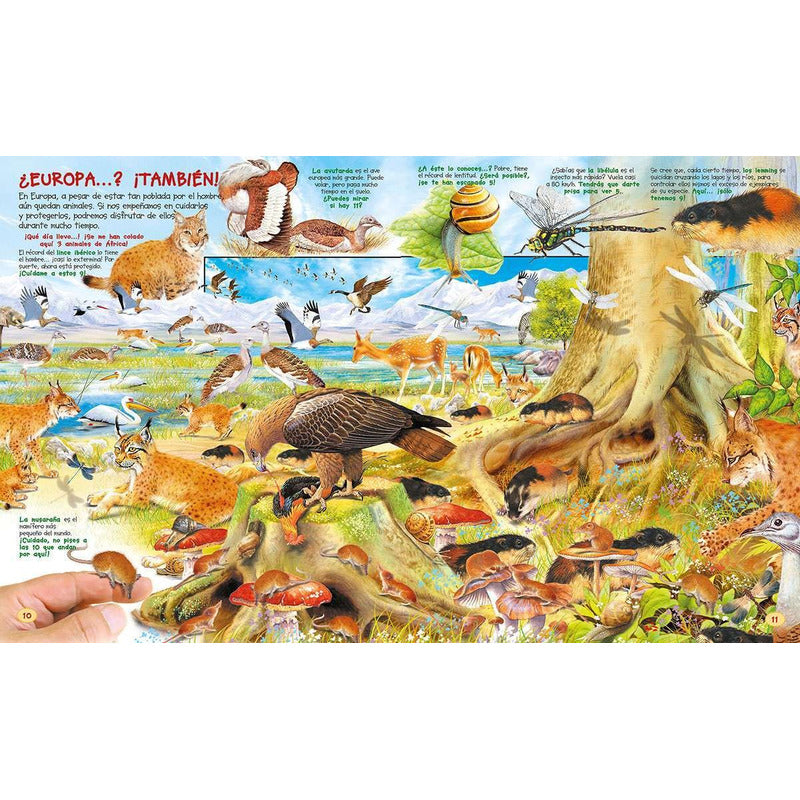 Busca Los Animales Y Sus Records (td) / Susaeta