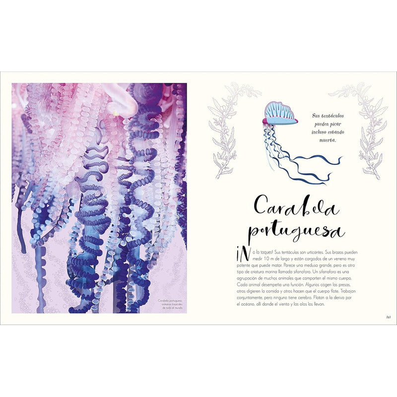 Dk Enciclopedia Maravillas Naturales (tapa Dura)