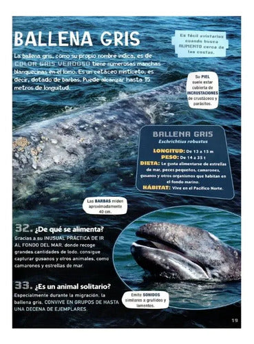 Ballenas Y Delfines 100 Preguntas Y Respuestas (td) / Lexus