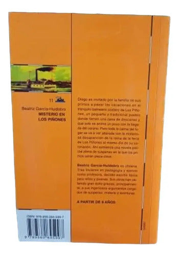 Misterio En Los Piñones / Beatriz Garcia Huidobro