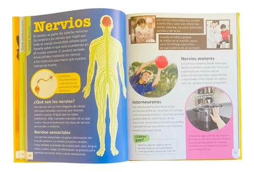 La Enciclopedia Infantil Del Cuerpo Humano (t. Dura) / Lexus