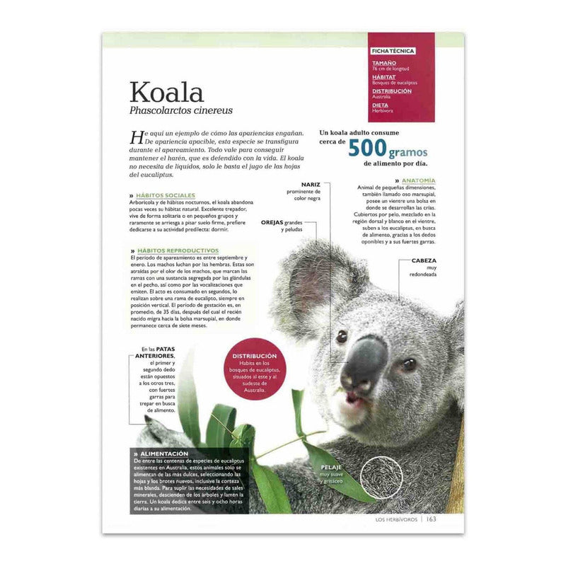 Mundo Animal Mamíferos Sorprendentes + Cd Y Laminas 3d