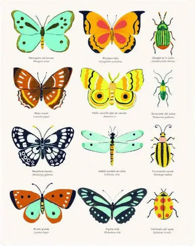 El Origen De Las Especies (ilustrado Td) / Charles Darwin