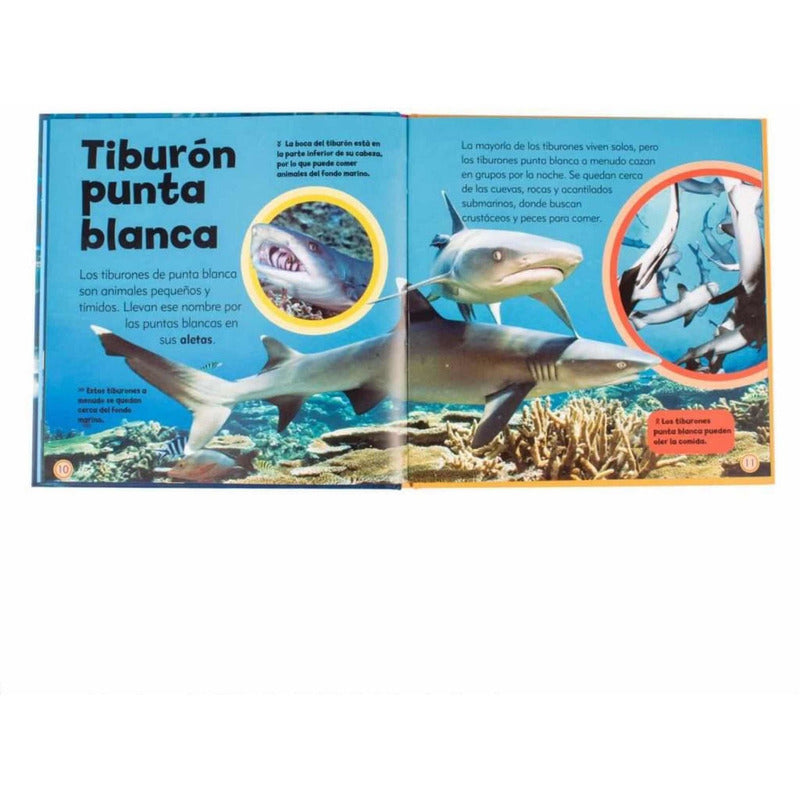 Mi Pequeño Libro De Tiburones / Lexus