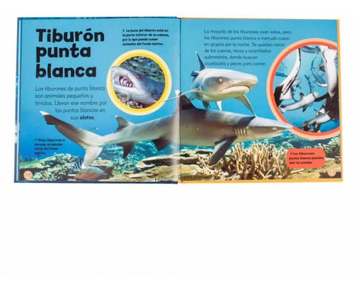 Mi Pequeño Libro De Tiburones / Lexus